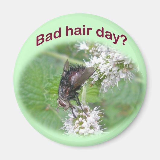 Aimant Bad Hair Day Fly Coordinating Items (Devant)
