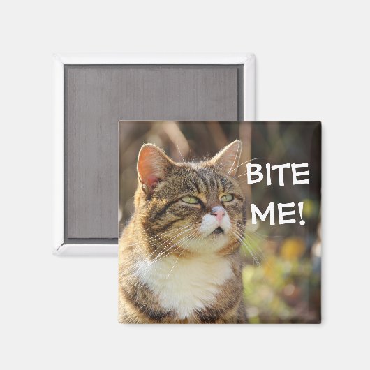 Aimant Badass Cats - "BITE ME !" (Recto/Verso)