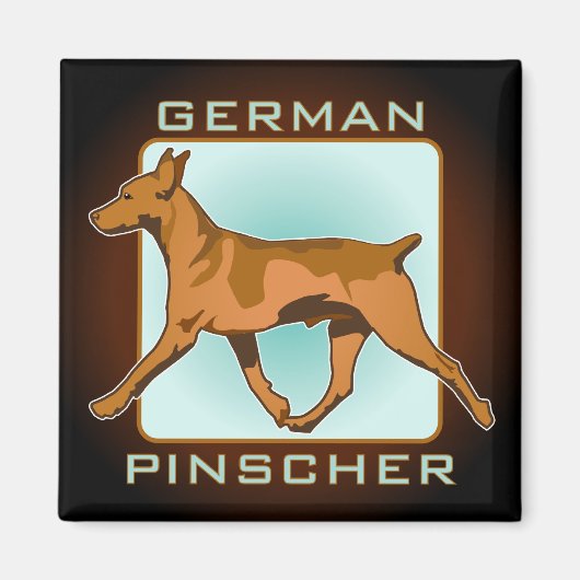 Aimant Badge allemand Pinscher, carré (Devant)