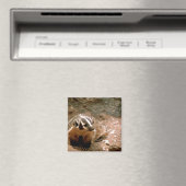 Aimant Badger (In Situ (Lave-vaisselle))