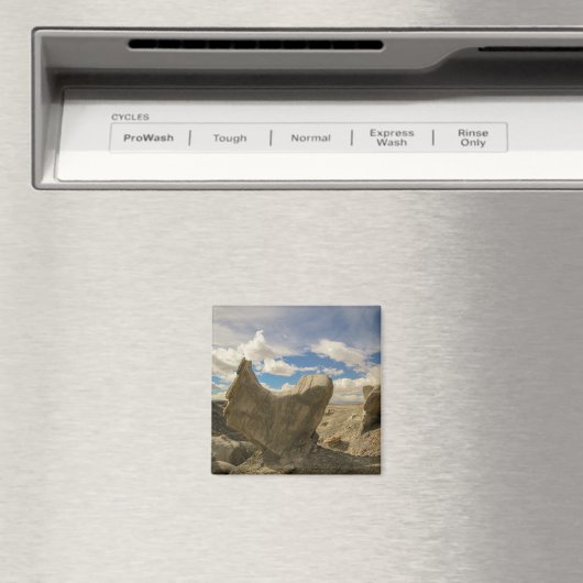 Aimant badlands (In Situ (Lave-vaisselle))