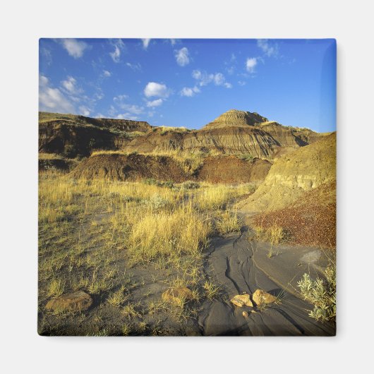 Aimant Badlands du parc provincial Dinosaur en Alberta, (Devant)