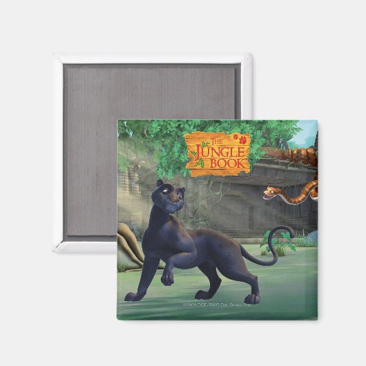 Aimant Bagheera 3 (Recto/Verso)