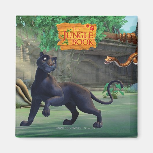 Aimant Bagheera 3 (Devant)