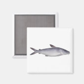 Aimant Bagre de mer (Recto/Verso)