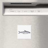 Aimant Bagre de mer (In Situ (Lave-vaisselle))
