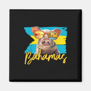 Aimant Bahamas Baignade Cochon Caraïbes Beach Voyages été