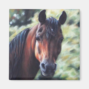 Aimant Baie Arabe face à cheval