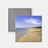 Aimant Baie Longue Long Bay Beach, St. Martin, (Recto/Verso)