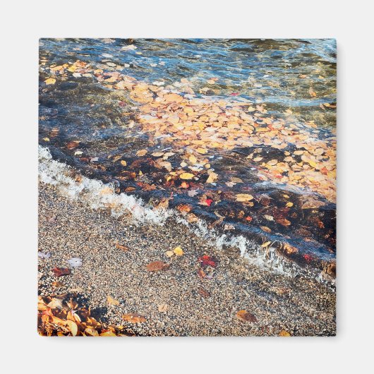 Aimant baie scolaire à l'automne (Devant)