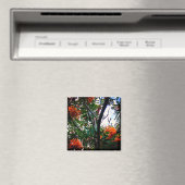 Aimant Baies d'orange (In Situ (Lave-vaisselle))