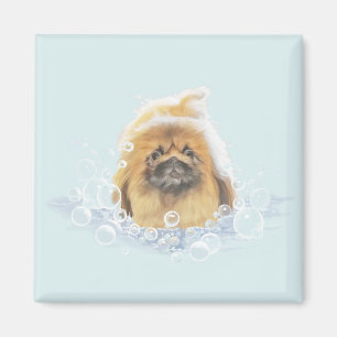 Aimant Bain Moussant