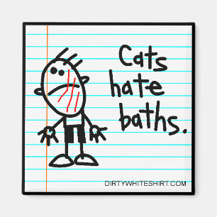 Aimant Bains de haine de chats