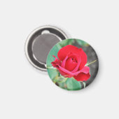 Aimant Baiser d'une rose rouge (Recto/Verso)