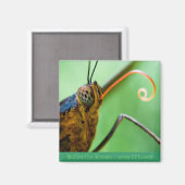 Aimant Baisers à papillon (Recto/Verso)