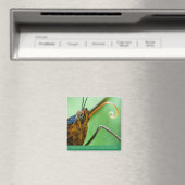 Aimant Baisers à papillon (In Situ (Lave-vaisselle))