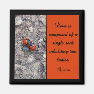 Aimant Baisers de coccinelle