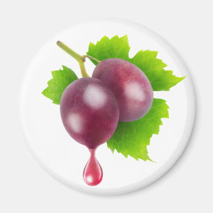Aimant Baisse de vin