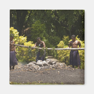 Aimant Balades à pied, Centre culturel polynésien, Viti