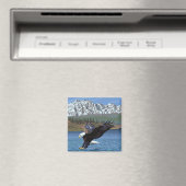 Aimant Bald Eagle Diving - Parc national de Yellowstone (In Situ (Lave-vaisselle))