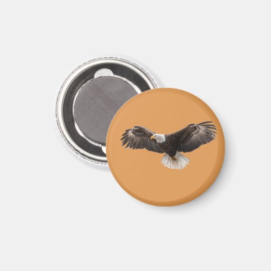 Aimant  bald eagle pin , commonly sold as  (Recto/Verso)