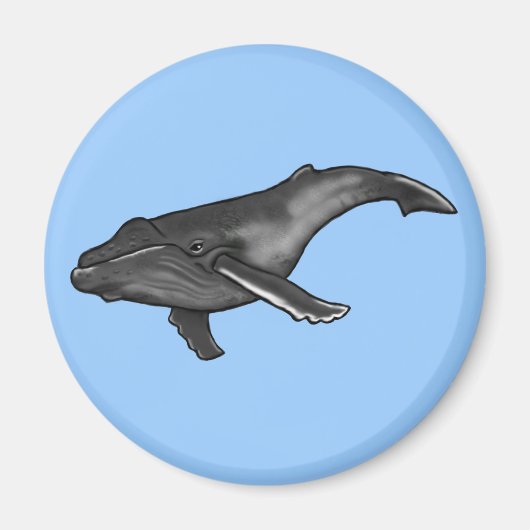 Aimant baleine à bosse (Devant)