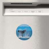 Aimant Baleine à bosse (In Situ (Lave-vaisselle))