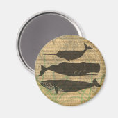 Aimant Baleine antique Vie marine (Recto/Verso)