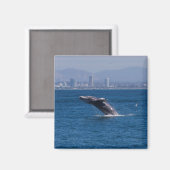 Aimant Baleine d'un temps (Recto/Verso)