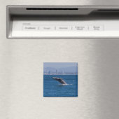 Aimant Baleine d'un temps (In Situ (Lave-vaisselle))