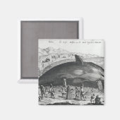 Aimant Baleine morte (Recto/Verso)