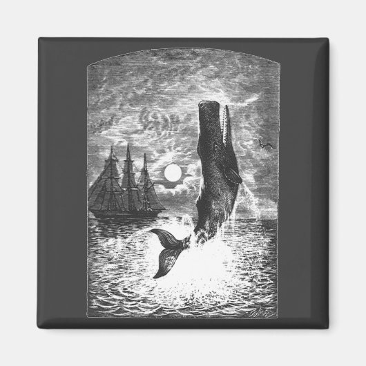 Aimant Baleine vintage, Vie Marine Animaux (Devant)