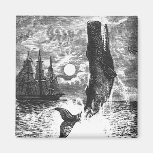 Aimant Baleine vintage, Vie Marine Animaux (Devant)