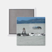Aimant Baleines d'Alaska (Recto/Verso)