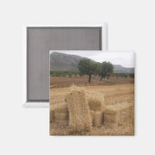 Aimant Balles de paille & Amandiers (Recto/Verso)