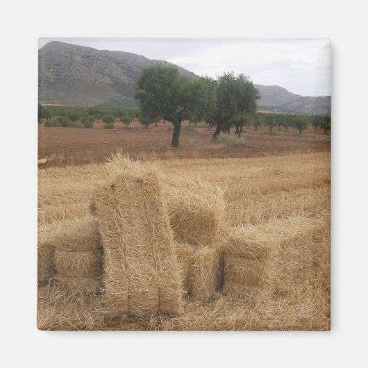 Aimant Balles de paille & Amandiers (Devant)