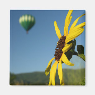 Aimant Ballons