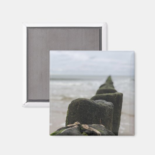 Aimant Balnéaire (Recto/Verso)