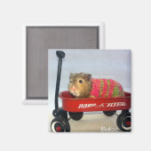 Aimant Baloo dans son Wagon rouge (Recto/Verso)