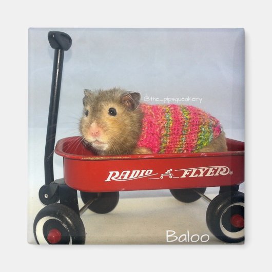 Aimant Baloo dans son Wagon rouge (Devant)