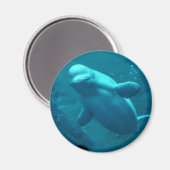 Aimant Balouga (Recto/Verso)