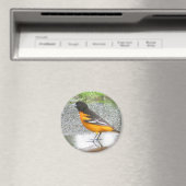 Aimant Baltimore Oriole (In Situ (Lave-vaisselle))