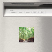 Aimant Bamboo Grove | Arashiyama, Kyoto, Japon (In Situ (Lave-vaisselle))