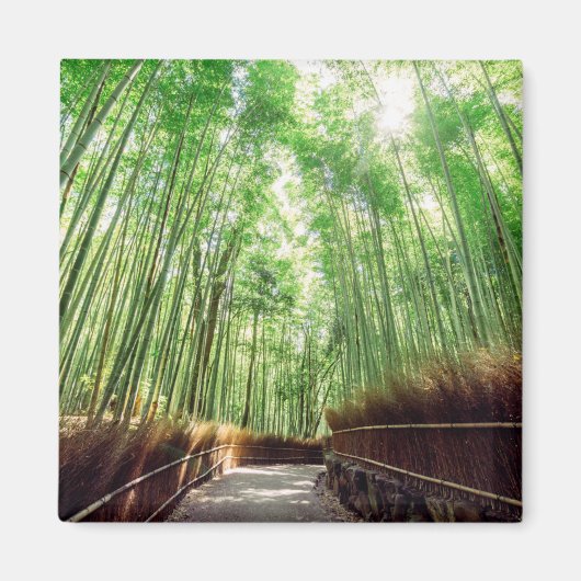 Aimant Bamboo Grove | Arashiyama, Kyoto, Japon (Devant)