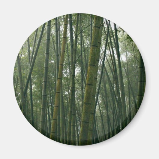 Aimant Bambou (Devant)