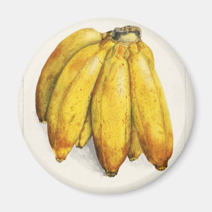 Aimant Banane