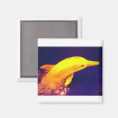 Aimant Banane dauphin (Recto/Verso)