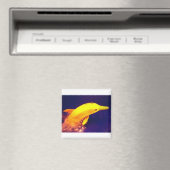 Aimant Banane dauphin (In Situ (Lave-vaisselle))