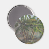 Aimant Bananiers (Recto/Verso)