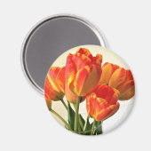 Aimant Banja Luka (Recto/Verso)